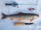 Nieri� (Rautu) 525 g
